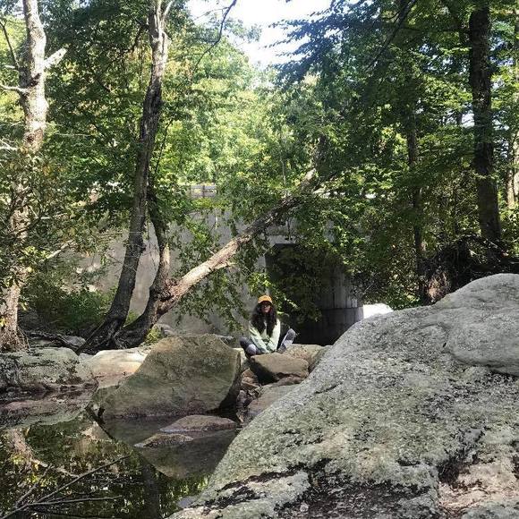 Meet your Posher, Rachel - Picture 1 of 1